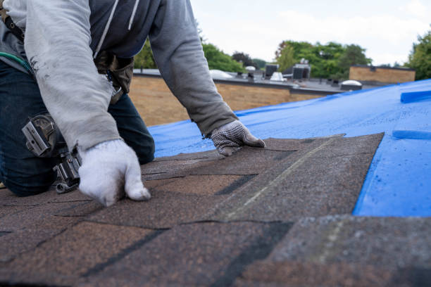 Best Roof Repair Services  in Wtell, LA